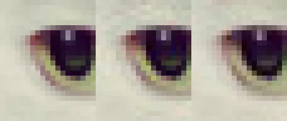 Un'immagine da 20x24 pixel raffigurante l'occhio di un gatto: a sinistra l'originale non compresso, nel mezzo quella ottenuta con un encoder standard e a destra con il metodo Guetzli