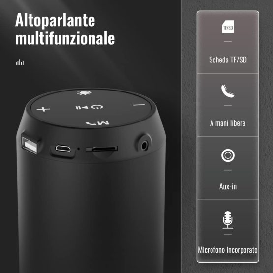 cassa Bluetooth