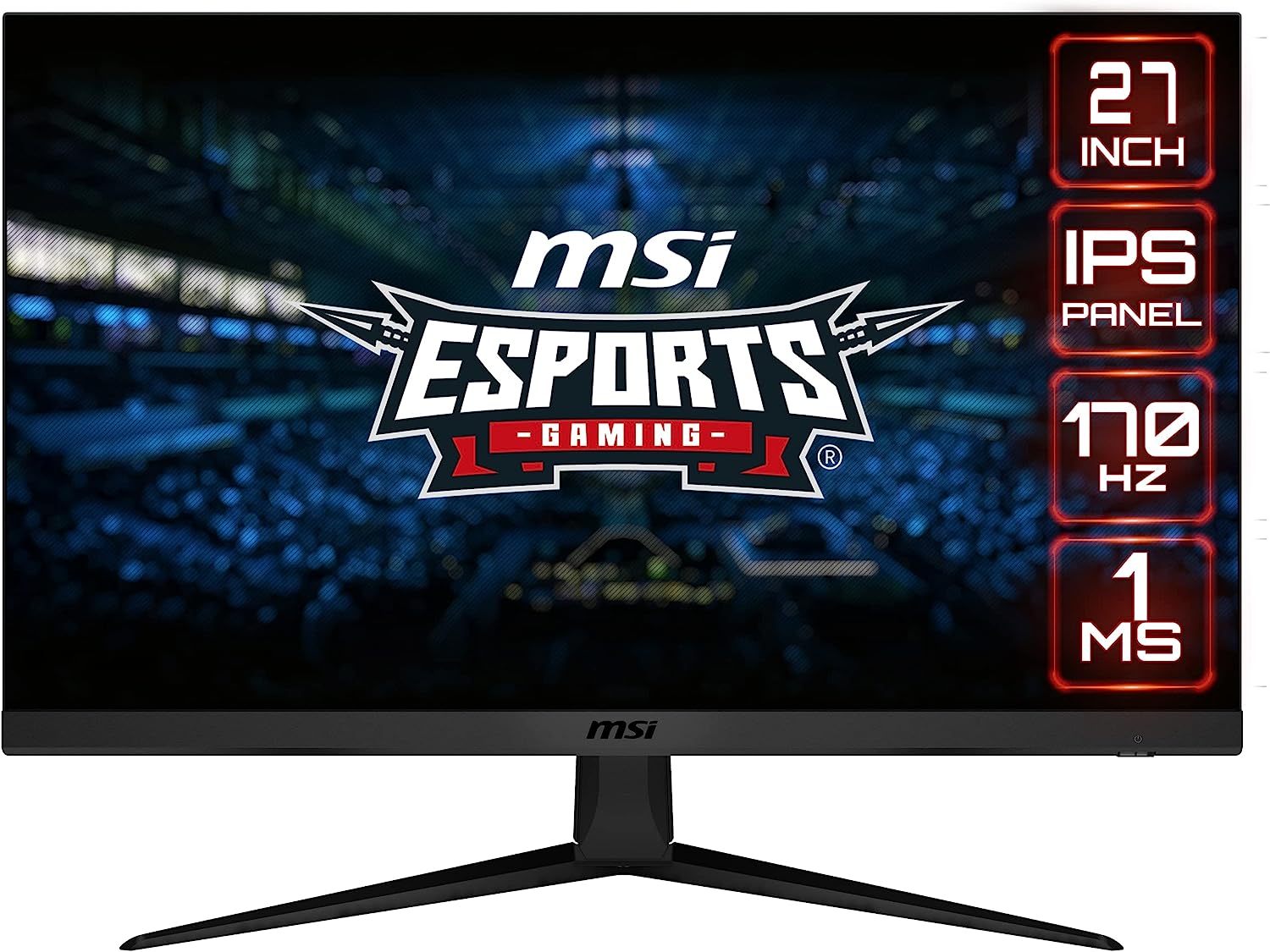 Monitor MSI