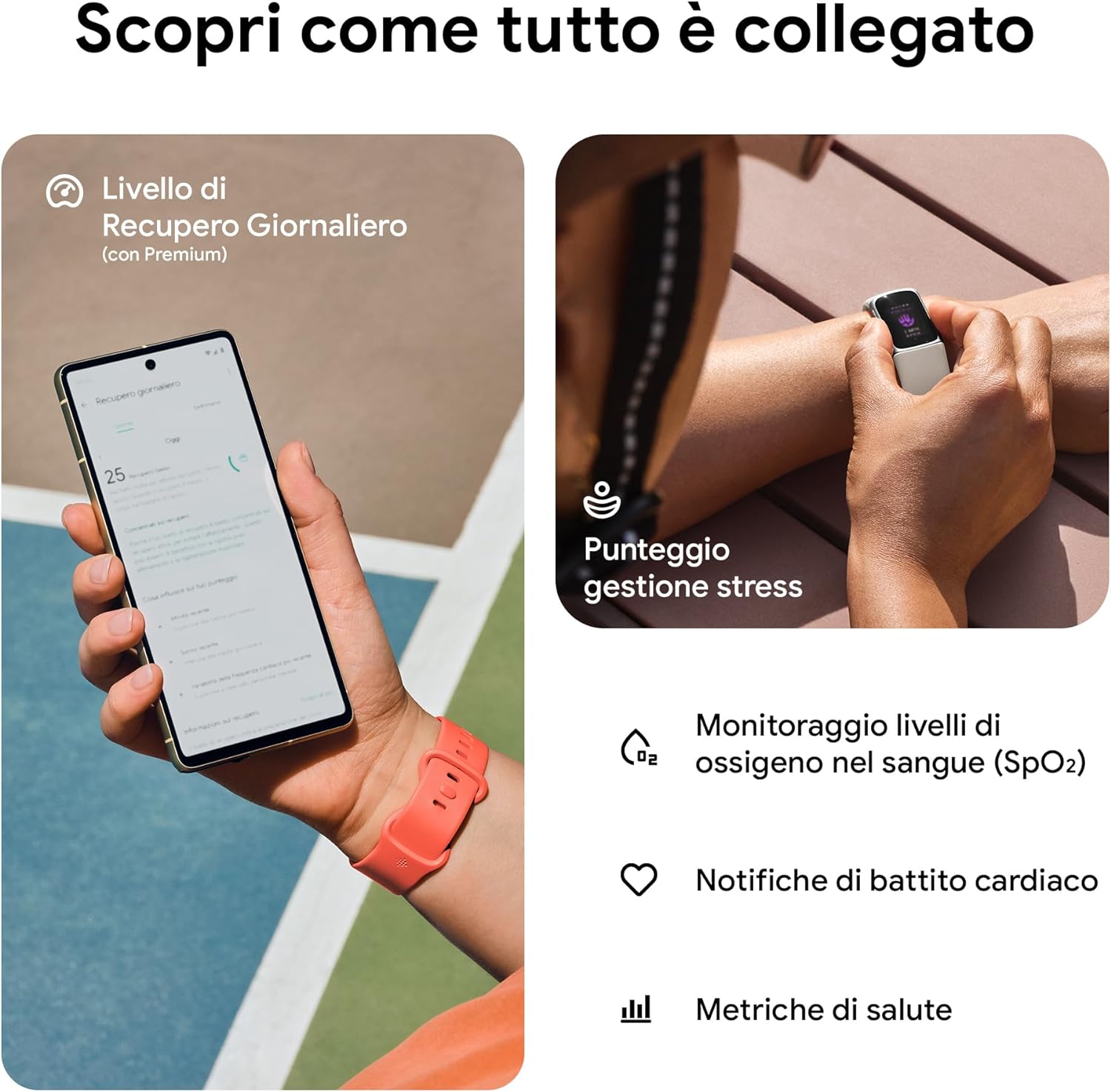 Fitbit by Google Charge 6