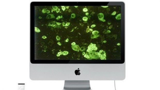 La prima botnet di Mac zombie è attiva?