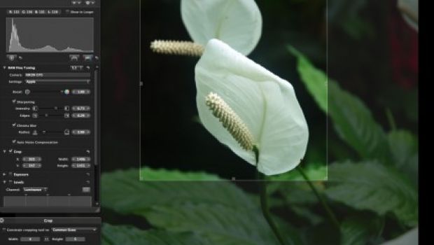 LightRoom 4 volte più popolare di Aperture