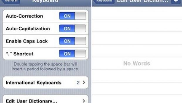 Dizionario personalizzabile su iPhone OS 4.0 beta 4
