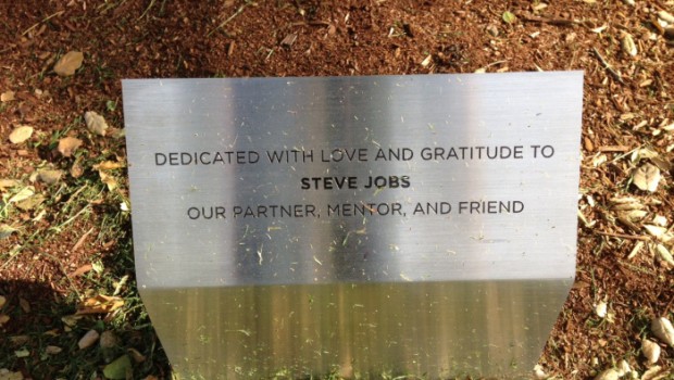 Un albero dedicato a Steve Jobs nel Campus Pixar