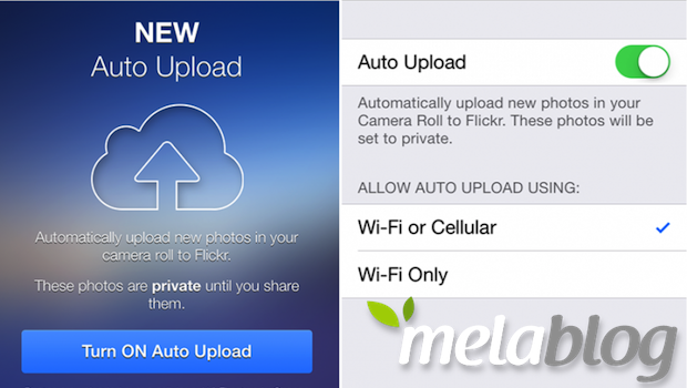 Flickr per iOS 7, un update fa le scarpe a Apple Photo Stream