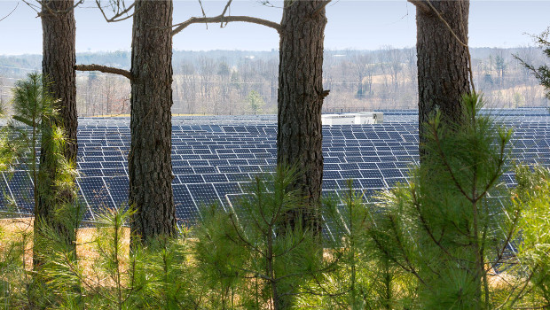 Zaffiro sintetico prodotto all'energia solare: la sfida di Apple per le energie rinnovabili