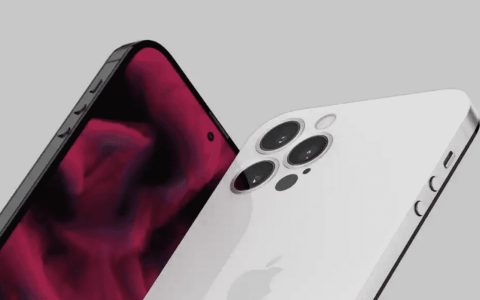 iPhone 14: nuovi dummy ci mostrano il design dei telefoni