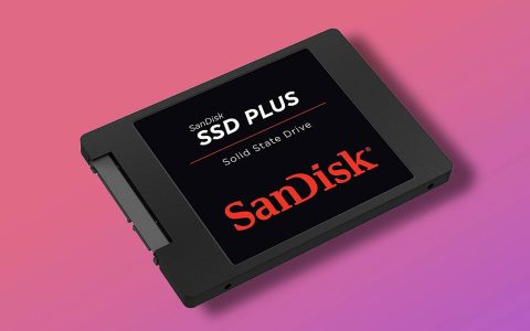 A 45 euro questo SSD SanDisk Plus è da prendere subito!