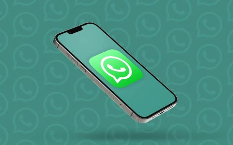 WhatsApp, una marea di novità: chiamate e videochiamate aggiornate, c'è anche il PiP