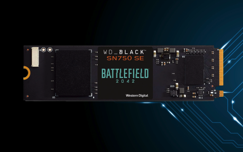 SSD WD_BLACK 500GB Battlefield 2042: prezzo FOLLE