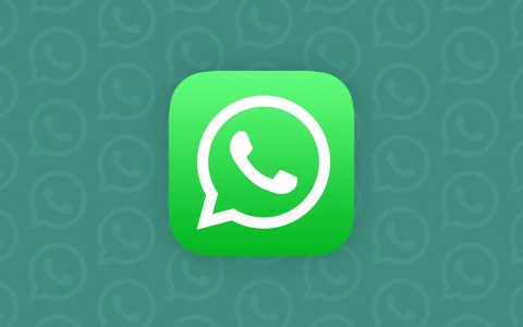 WhatsApp, finalmente il picture-in-picture per le videocall: scarica subito l'aggiornamento!