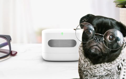 Smart Air Quality Monitor: ecco a cosa serve e perché te ne serve uno