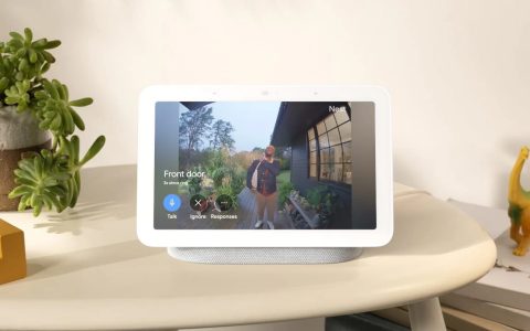 Google Nest Hub, smart speaker con display DOPPIO SCONTO eBay