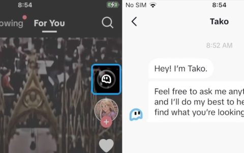 TikTok testa il proprio chatbot AI chiamato 