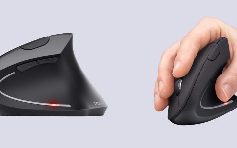 MASSIMO COMFORT al pc con il Mouse verticale a PREZZO MINI